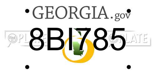 8BI785 Georgia License Plate