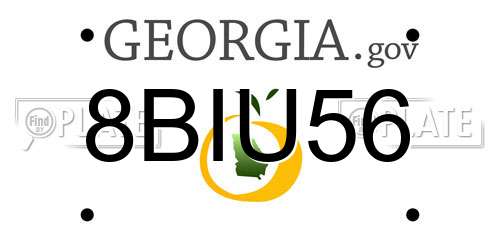 8BIU56 Georgia License Plate