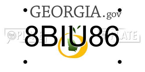 8BIU86 Georgia License Plate