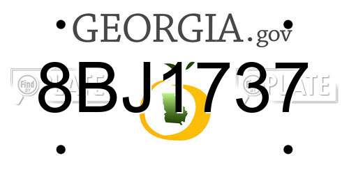 8BJ1737 Georgia License Plate