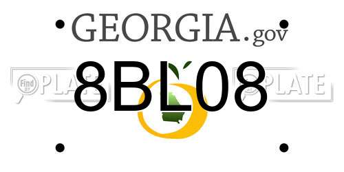 8BL08 Georgia License Plate