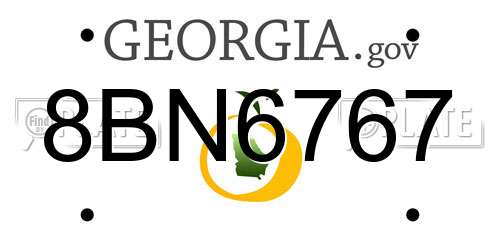 8BN6767 Georgia License Plate