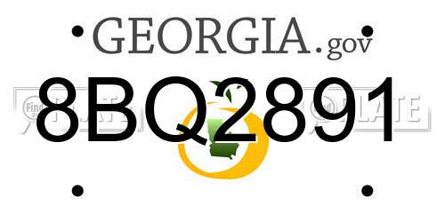 8BQ2891 Georgia License Plate