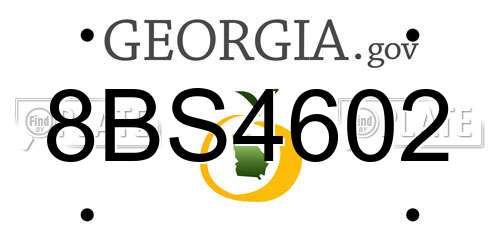 8BS4602 Georgia License Plate