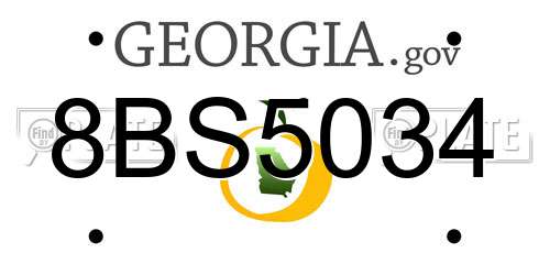 8BS5034 Georgia License Plate