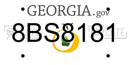 8BS8181 Georgia License Plate
