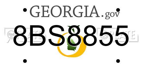 8BS8855 Georgia License Plate