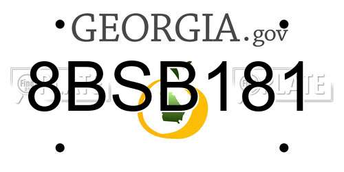 8BSB181 Georgia License Plate