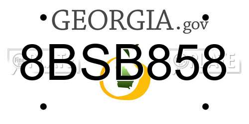 8BSB858 Georgia License Plate