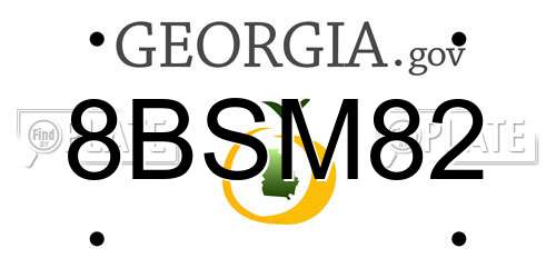 8BSM82 Georgia License Plate