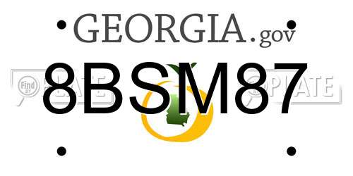 8BSM87 Georgia License Plate