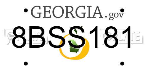 8BSS181 Georgia License Plate