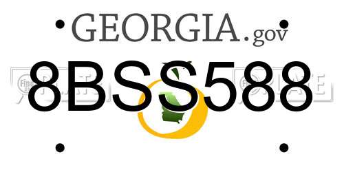 8BSS588 Georgia License Plate