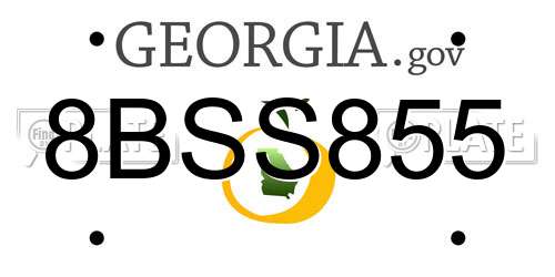 8BSS855 Georgia License Plate