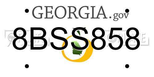 8BSS858 Georgia License Plate