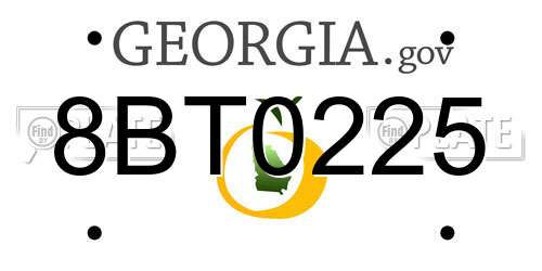 8BT0225 Georgia License Plate