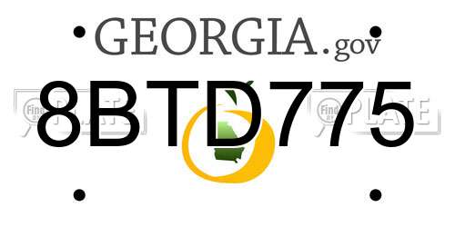 8BTD775 Georgia License Plate
