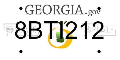 8BTI212 Georgia License Plate