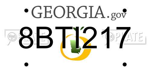 8BTI217 Georgia License Plate