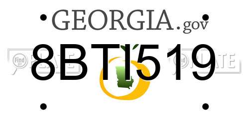 8BTI519 Georgia License Plate