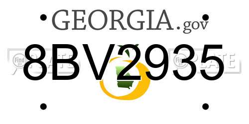8BV2935 Georgia License Plate