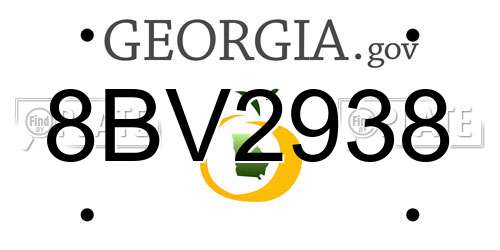 8BV2938 Georgia License Plate