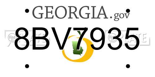 8BV7935 Georgia License Plate