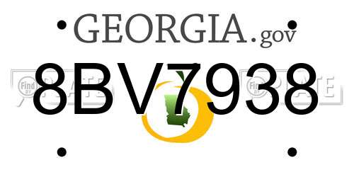 8BV7938 Georgia License Plate