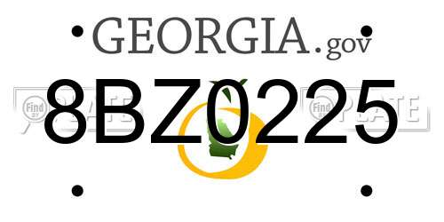 8BZ0225 Georgia License Plate
