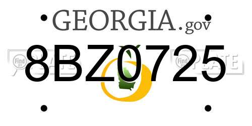 8BZ0725 Georgia License Plate