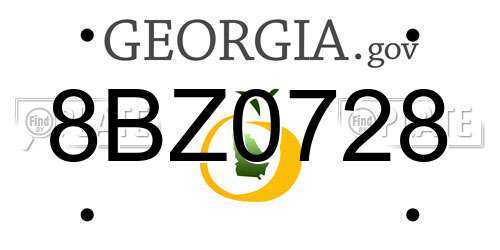 8BZ0728 Georgia License Plate