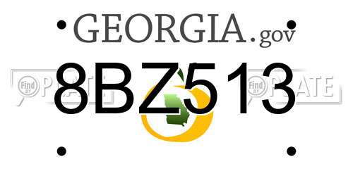8BZ513 Georgia License Plate
