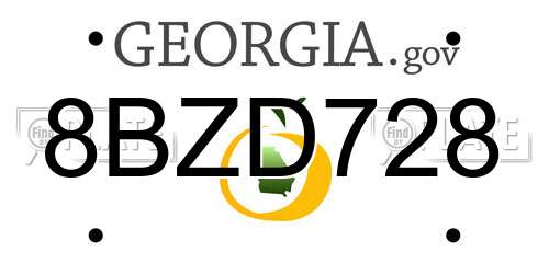 8BZD728 Georgia License Plate