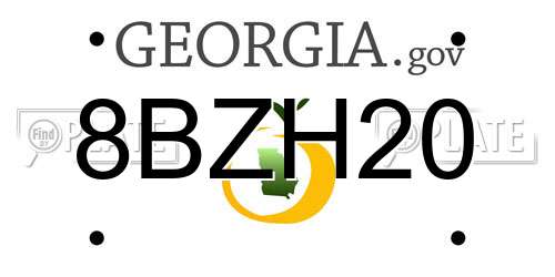 8BZH20 Georgia License Plate