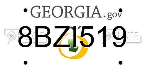 8BZI519 Georgia License Plate