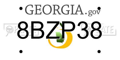 8BZP38 Georgia License Plate