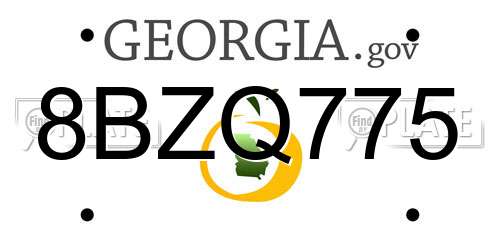 8BZQ775 Georgia License Plate