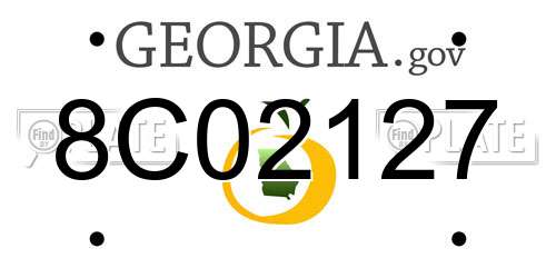 8C02127 Georgia License Plate