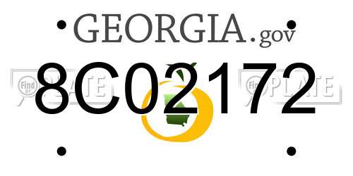 8C02172 Georgia License Plate