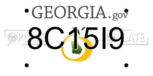 8C15I9 Georgia License Plate