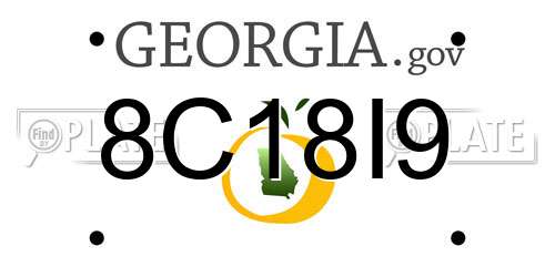 8C18I9 Georgia License Plate