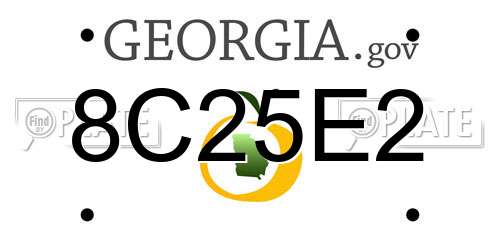 8C25E2 Georgia License Plate