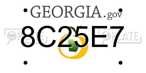 8C25E7 Georgia License Plate