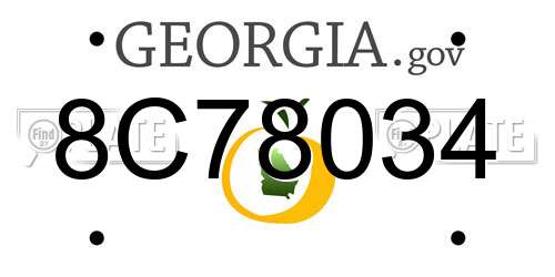 8C78034 Georgia License Plate