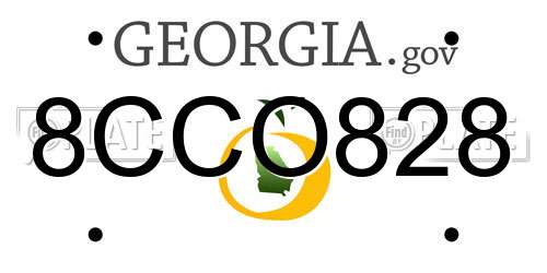 8CCO828 Georgia License Plate