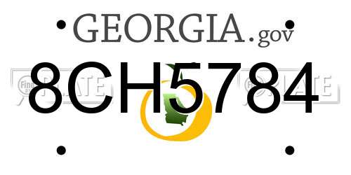 8CH5784 Georgia License Plate