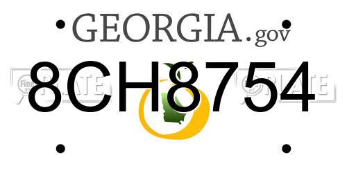 8CH8754 Georgia License Plate