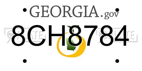 8CH8784 Georgia License Plate