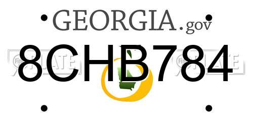 8CHB784 Georgia License Plate