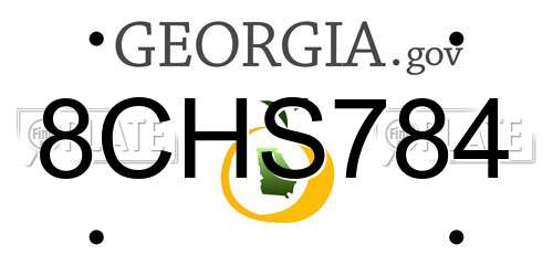 8CHS784 Georgia License Plate